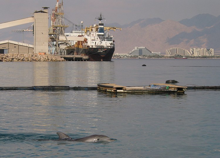 Eilat_4435.JPG