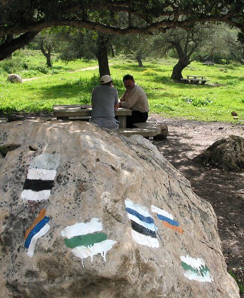 simun_shvilim.jpg