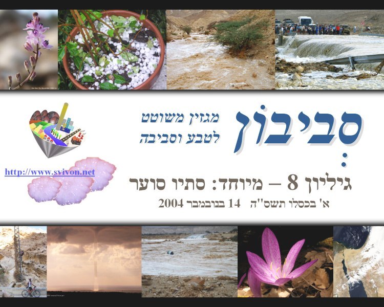 svivon_8_main_page.jpg