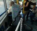 אופניים באוטובוס קו 123 בחיפה