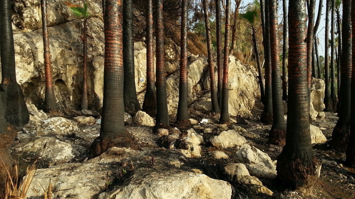 YMCA_Tiberias_Burnt_20160605_065649