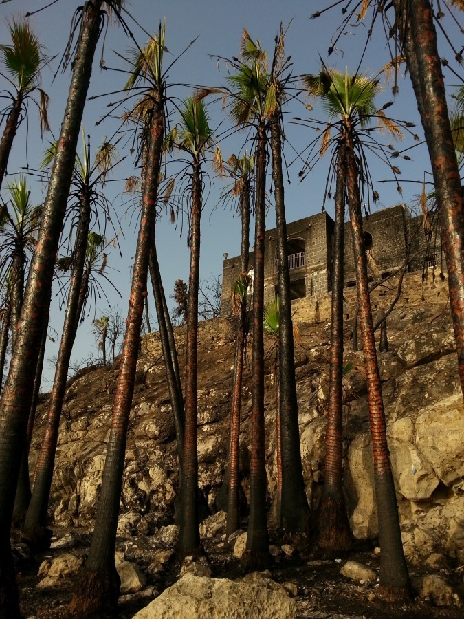 YMCA_Tiberias_Burnt_20160605_065802